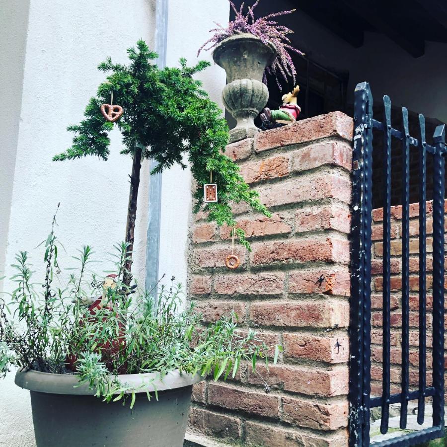 Apartmany Kovacska 科希策 外观 照片